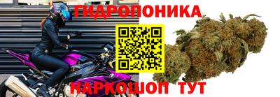дживик Будённовск